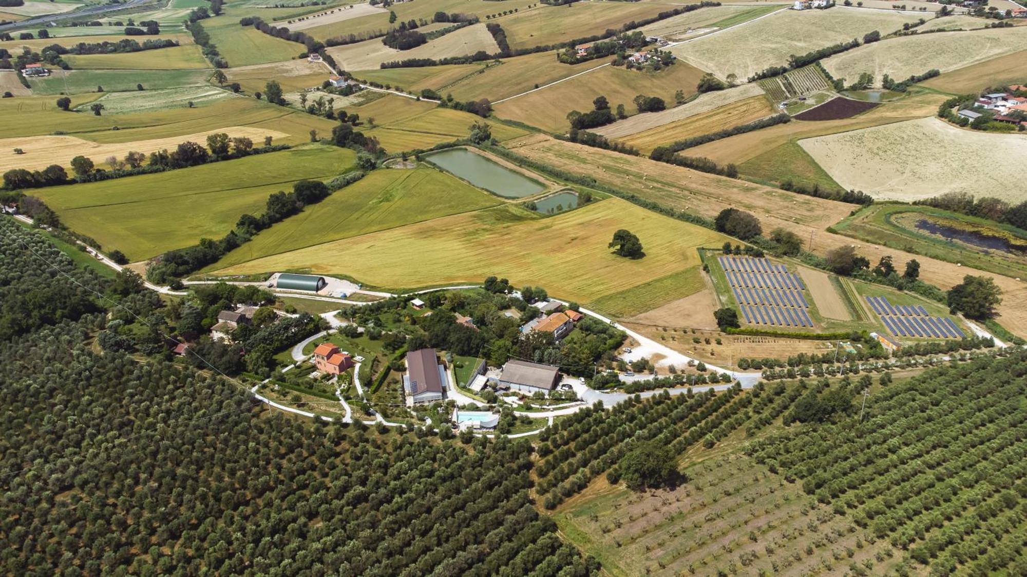 A3Passi Villa Ancona Exterior foto