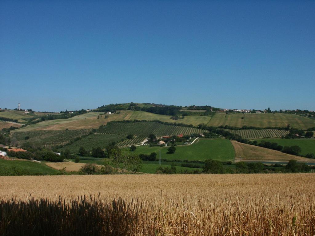 A3Passi Villa Ancona Exterior foto