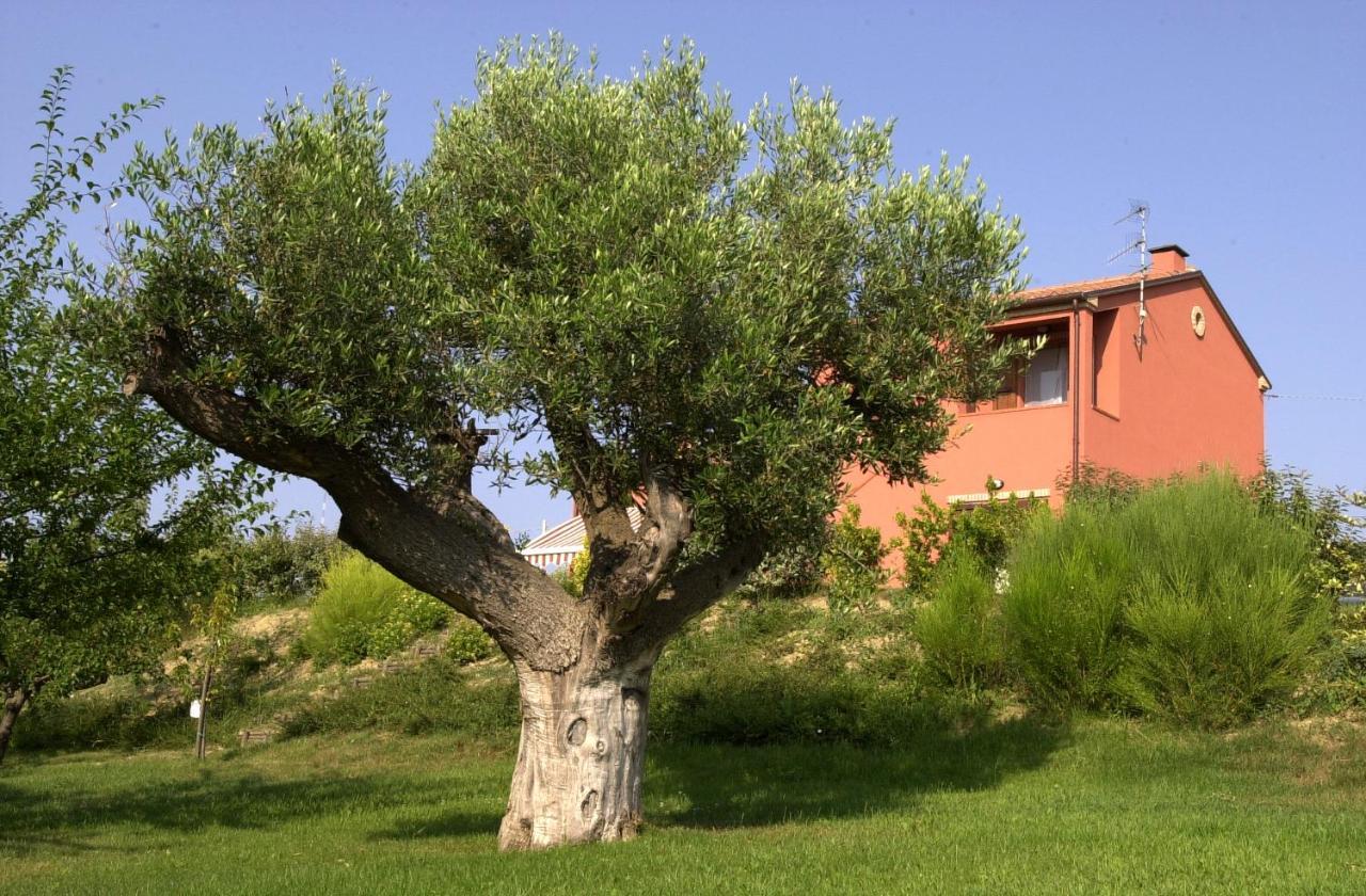 A3Passi Villa Ancona Exterior foto